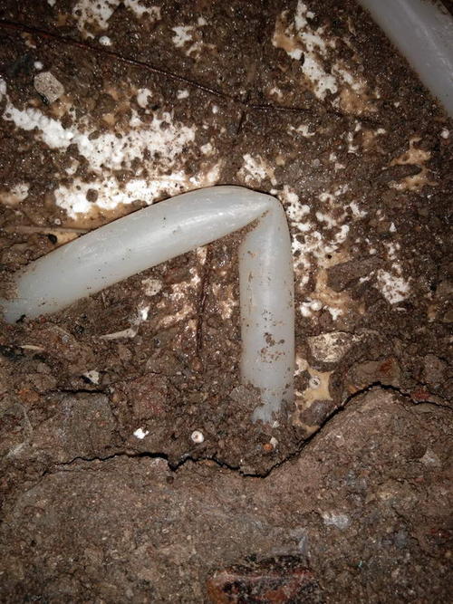 塔河堵点精准查找